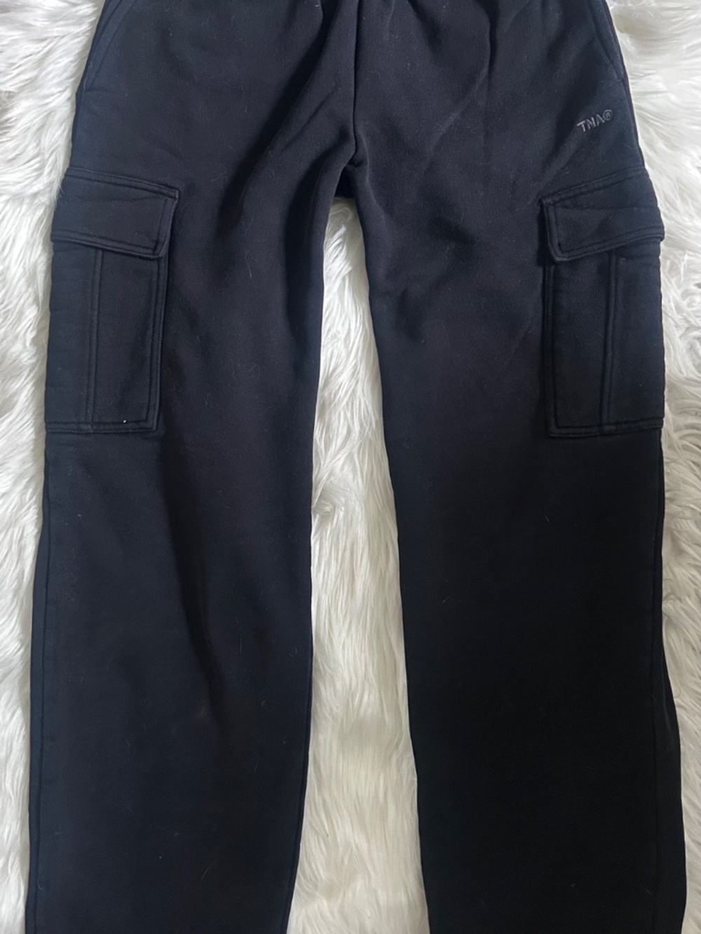 Aritzia TNA cargo sweatpants